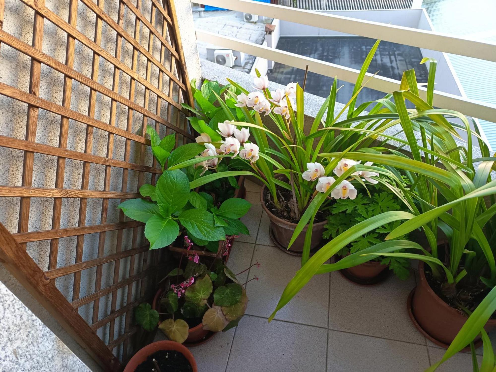 Vivienda Caseiro Ourense Ngoại thất bức ảnh